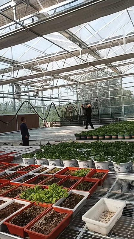 温室大棚喷灌机