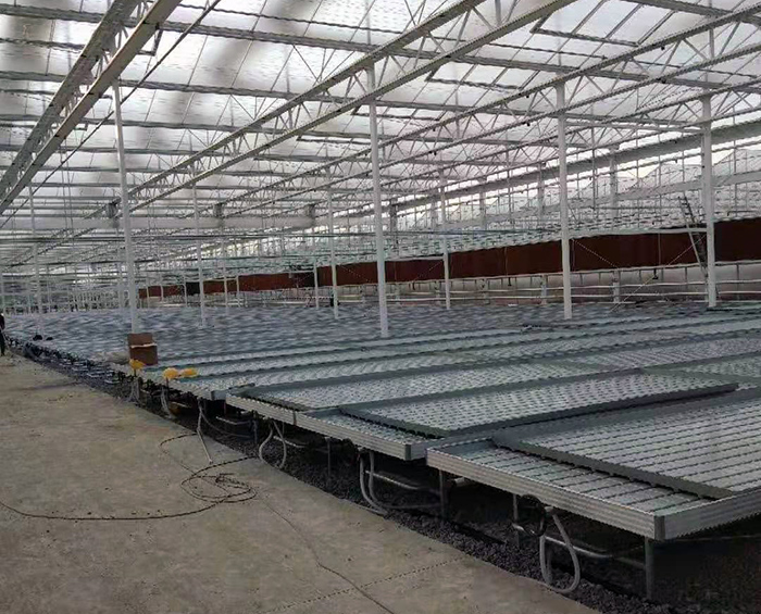 温室育苗床
