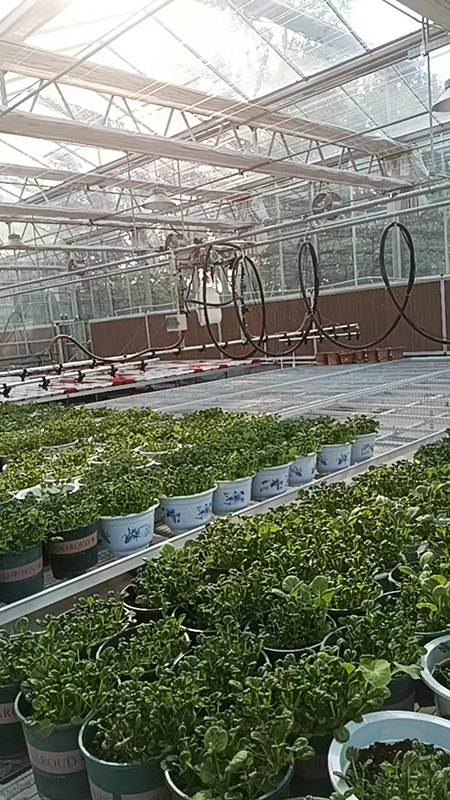 温室育苗喷灌机