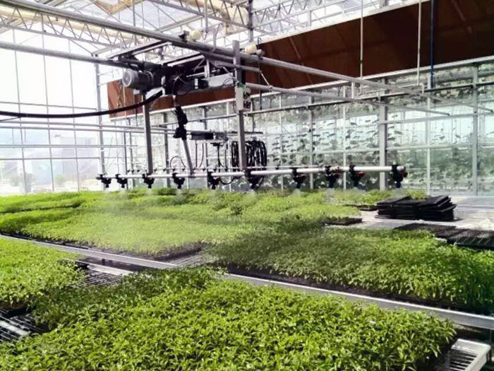 温室自动喷灌机